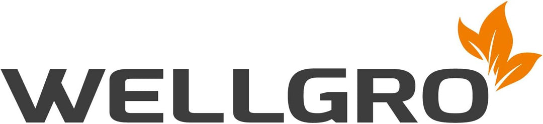 WELLGRO 2er Set Schrankkörbe zum Einhängen aus Metall - ca. 41 x 25 x 14 cm (LxBxH) - schaffen Sie z