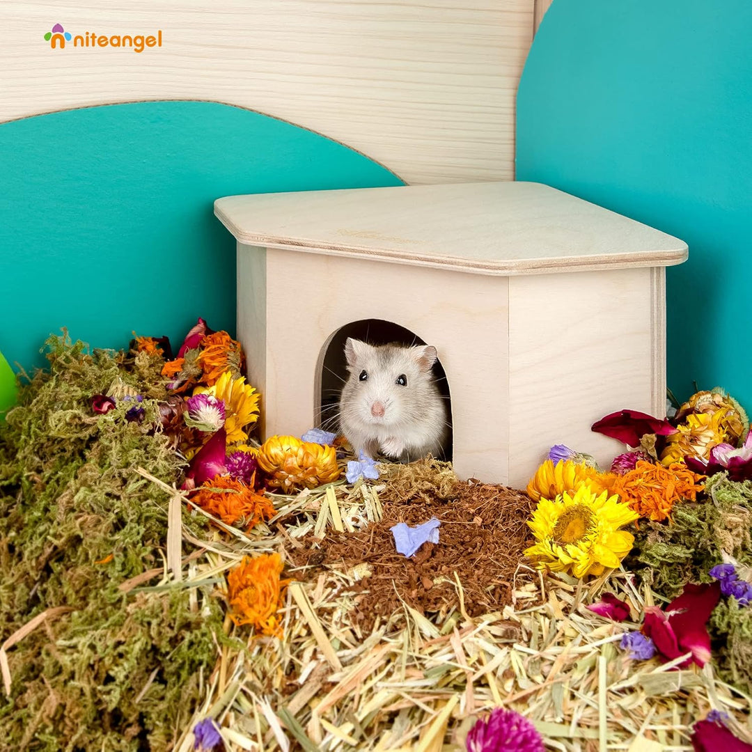 Niteangel Birke Chamber-Maze Hamster Hideout – Kleine Haustiere Wald Haus Lebensräume Dekor für Hams