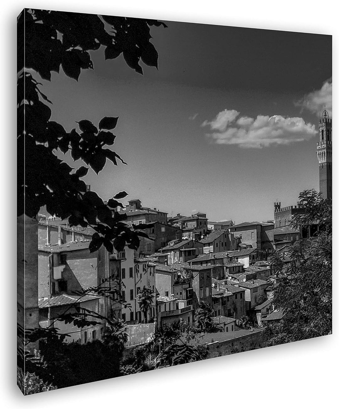 deyoli die Stadt Pisa in Italien Format: 70x70 Effekt: Schwarz&Weiss als Leinwandbild, Motiv auf Ech