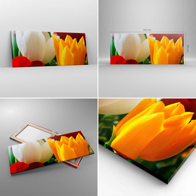 Wandbilder Dekoration Wohnzimmer Tulpen Vase Blumenstrauss Panorama Bilder auf Leinwand 120x50cm Lei