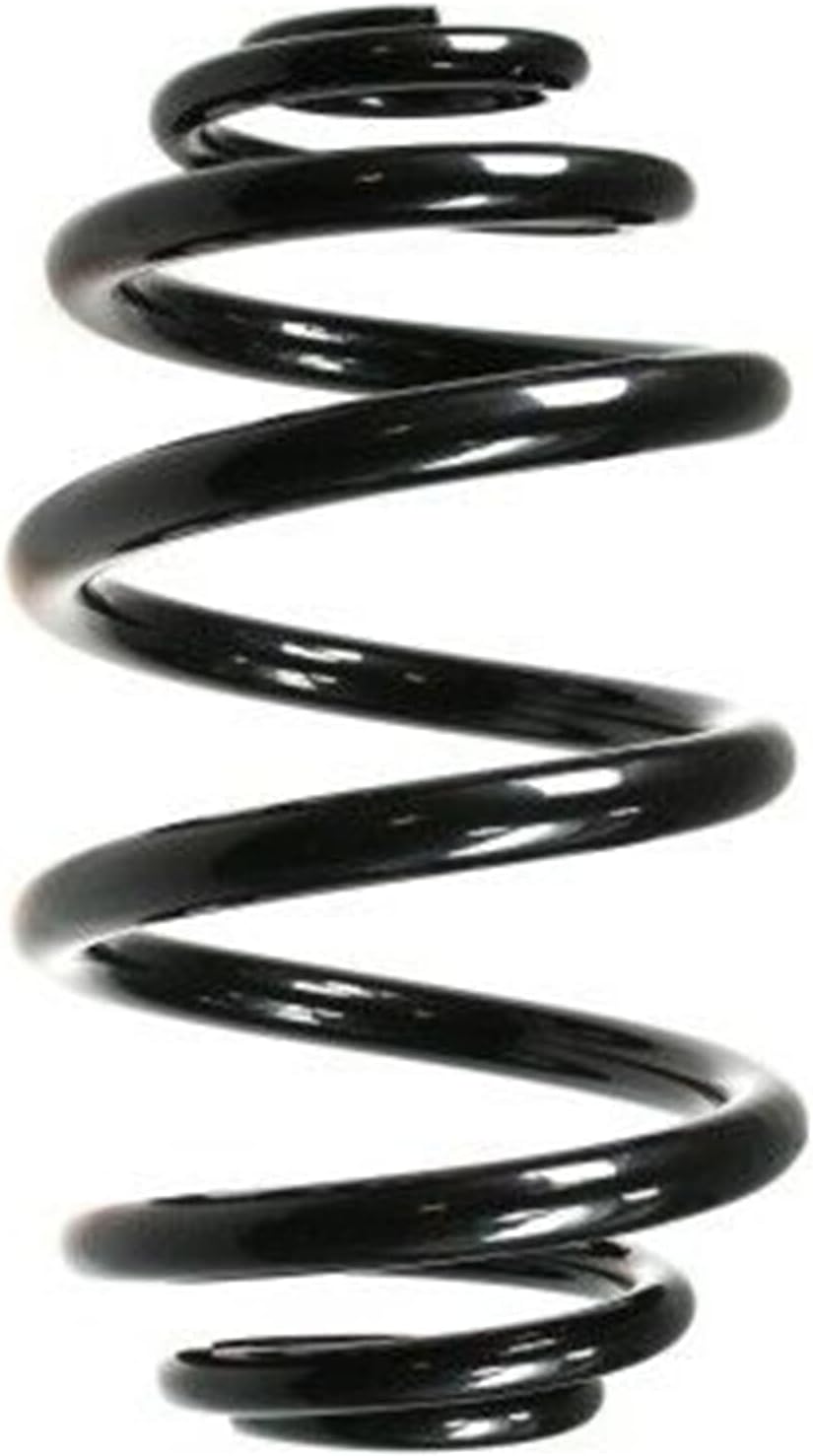 SPIDAN 49797 Fahrwerksfeder