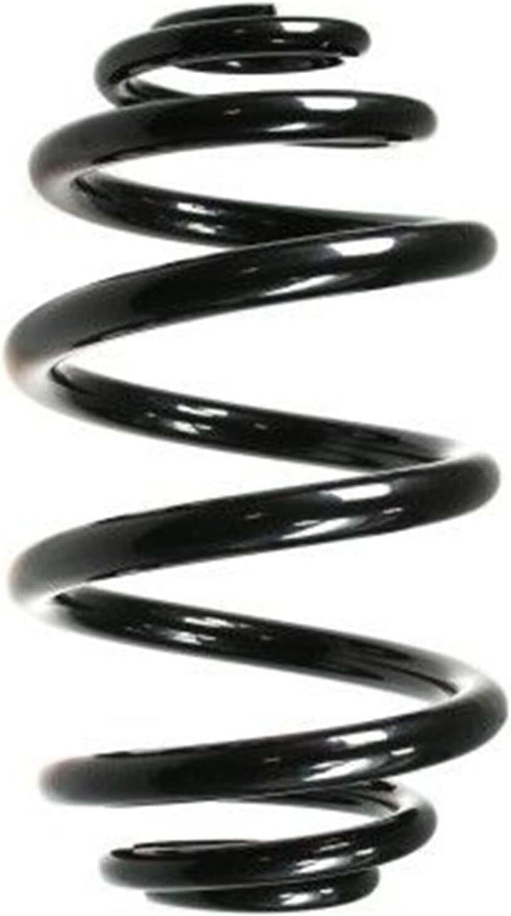 SPIDAN 49797 Fahrwerksfeder