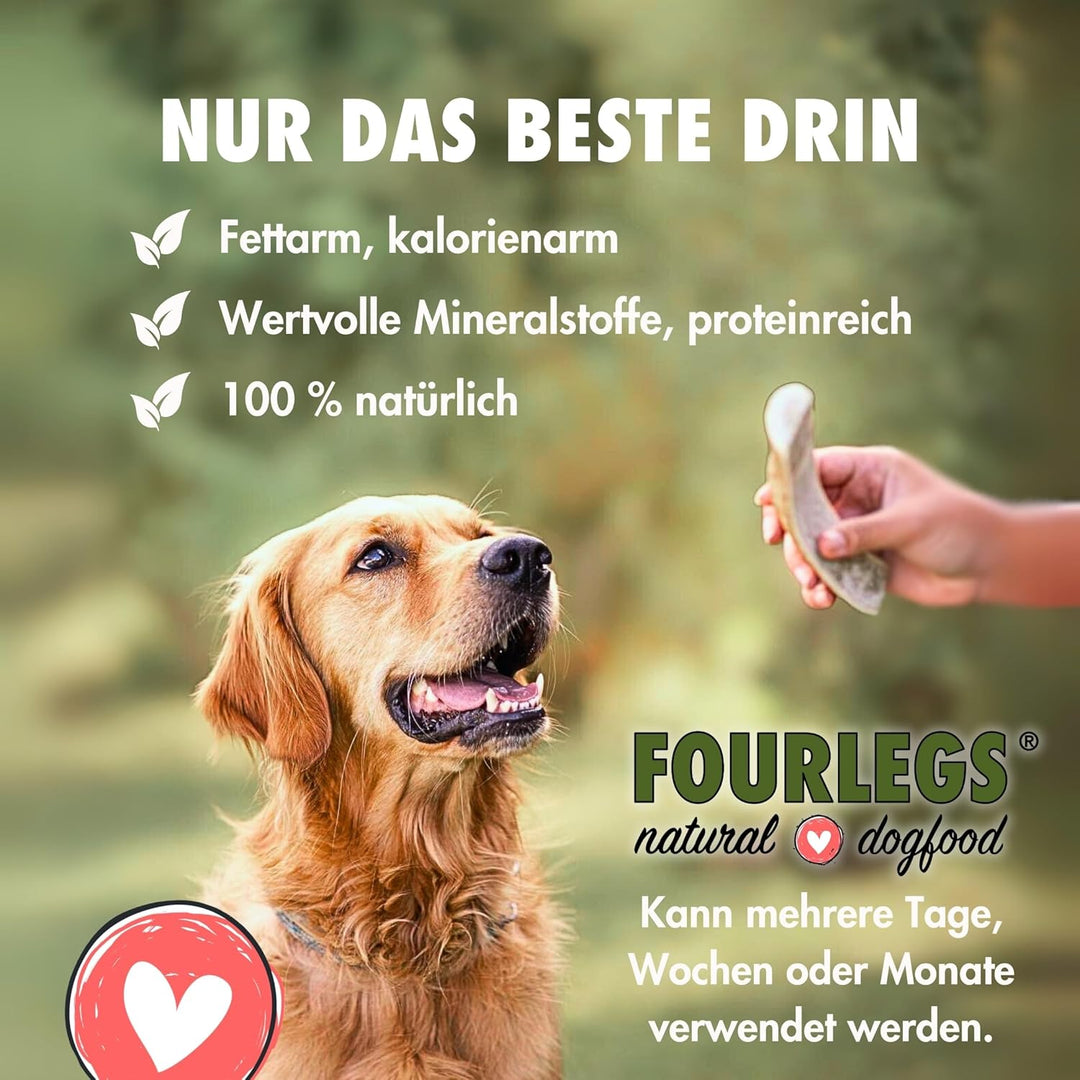 FOURLEGS® natürlicher Kausnack für Hunde aus 100% Hirschgeweih - Mineralstoffe, Kauspielzeug, Kausta