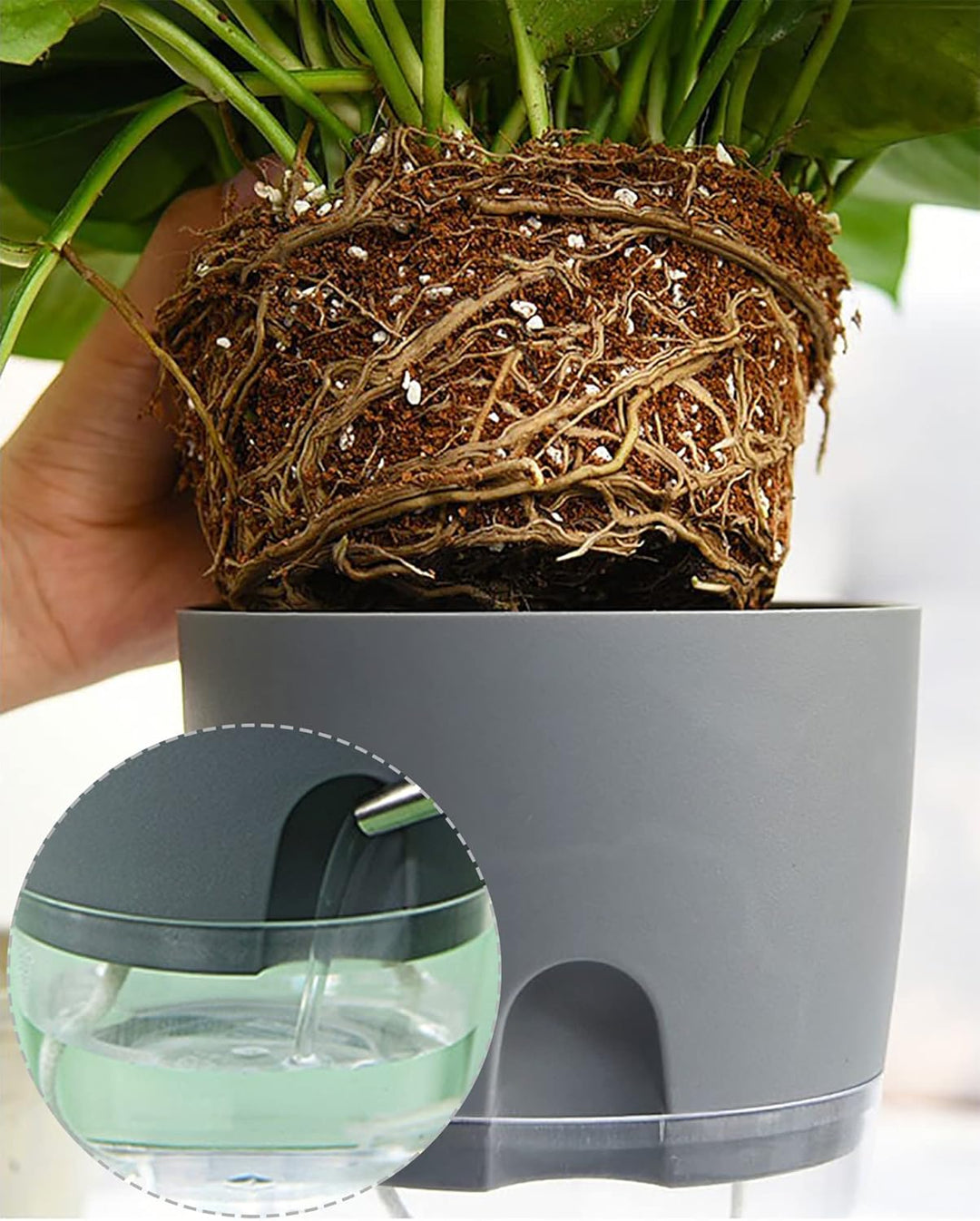 iDattel Kräutertopf Küche Set Fensterbank selbstbewässernd-3er Set Kräutergarten für die Küche,18.2X