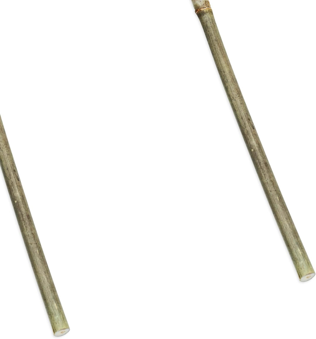 Bambus Pflanzenstütze 75 x 20 cm Natur - 6er Set - Holz Rankbogen Kletterhilfe für Rankpflanzen - Ba