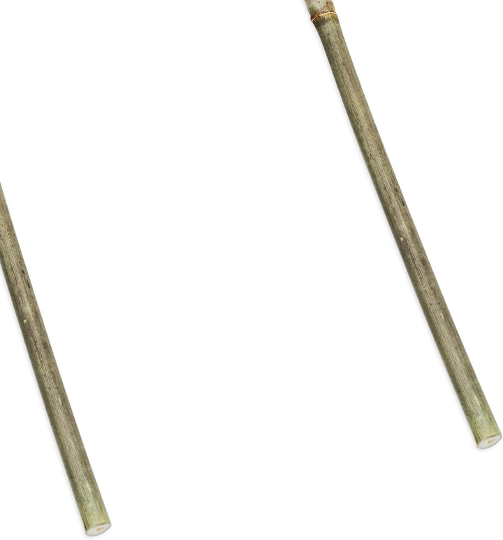 Bambus Pflanzenstütze 75 x 20 cm Natur - 6er Set - Holz Rankbogen Kletterhilfe für Rankpflanzen - Ba