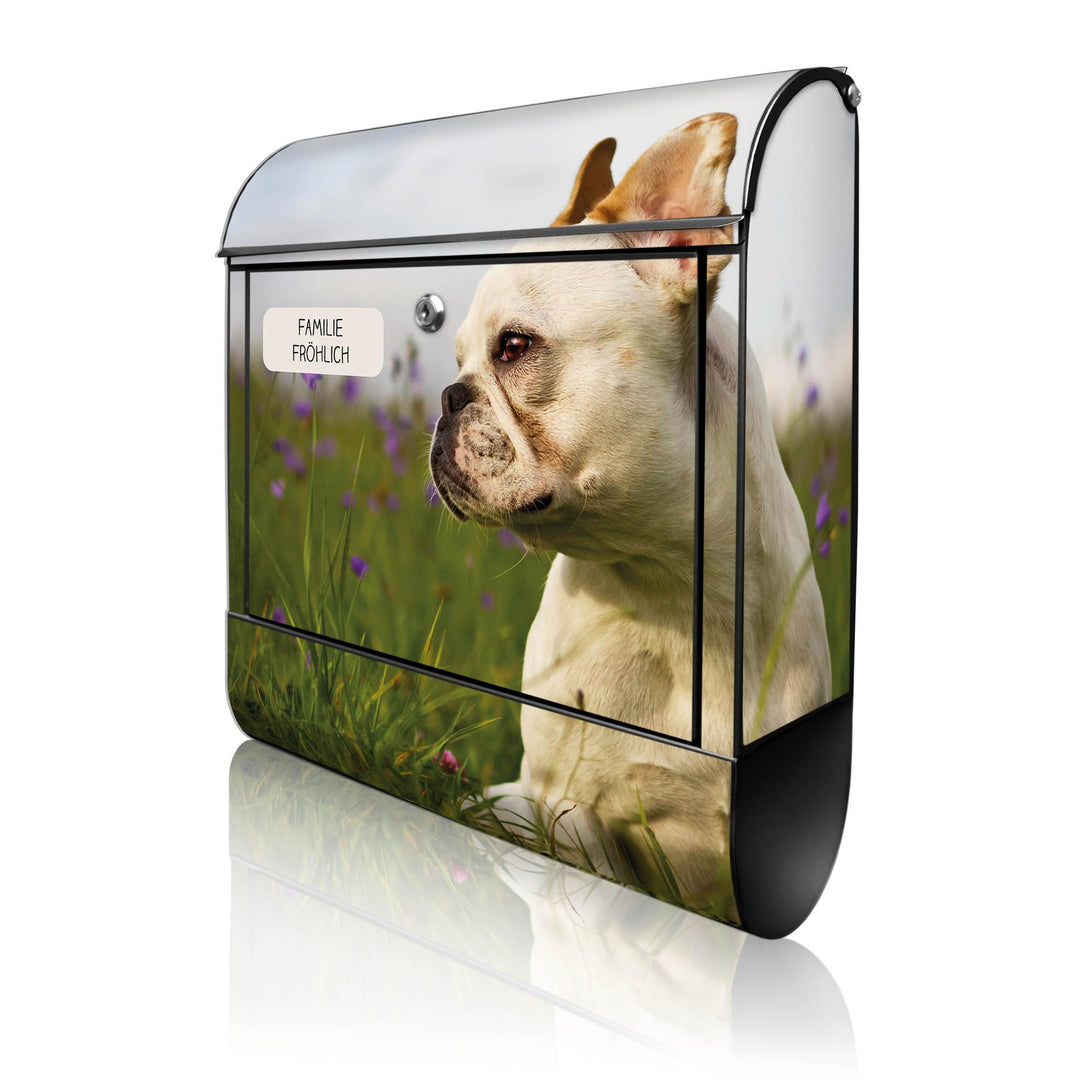 banjado® Design Briefkasten personalisiert Motiv Französische Bulldogge 39x47x14 &amp; 2 Schlüssel - Bri