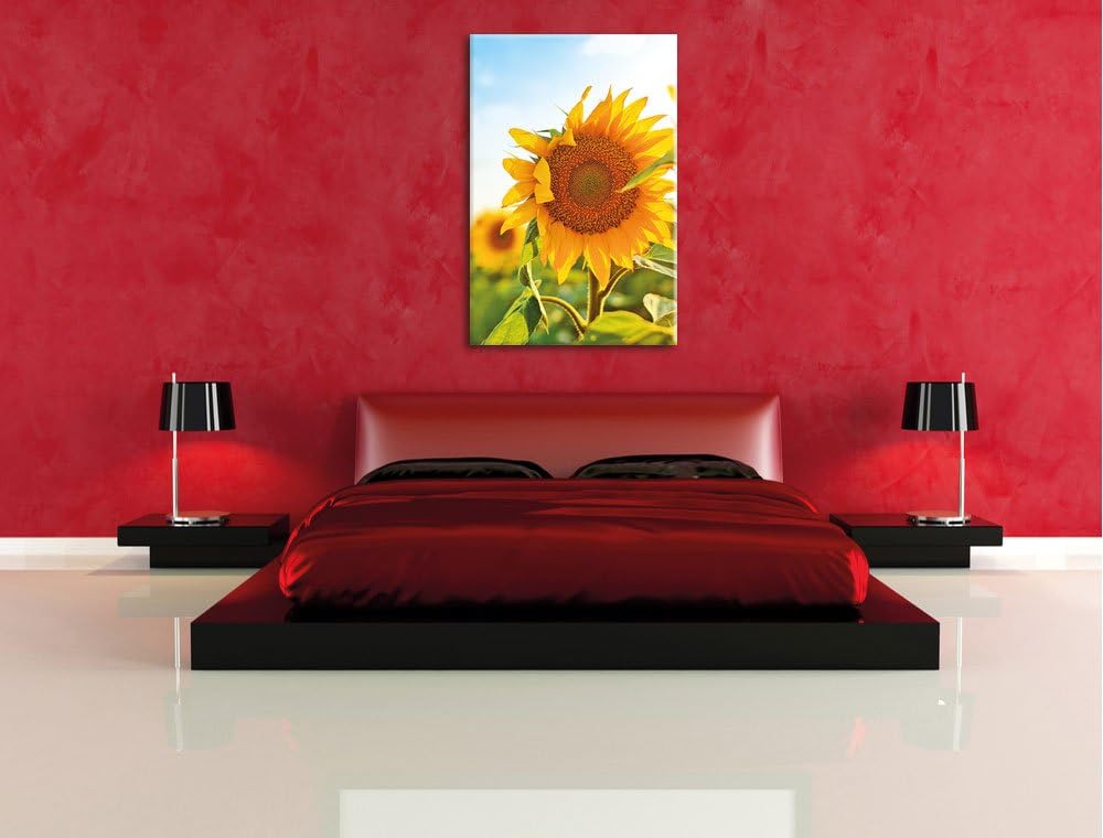 Pixxprint Sonnenblumenfeld SonnenblumeSonne als Leinwandbild/Grösse: 100x70 / Wandbild/Kunstdruck/fe