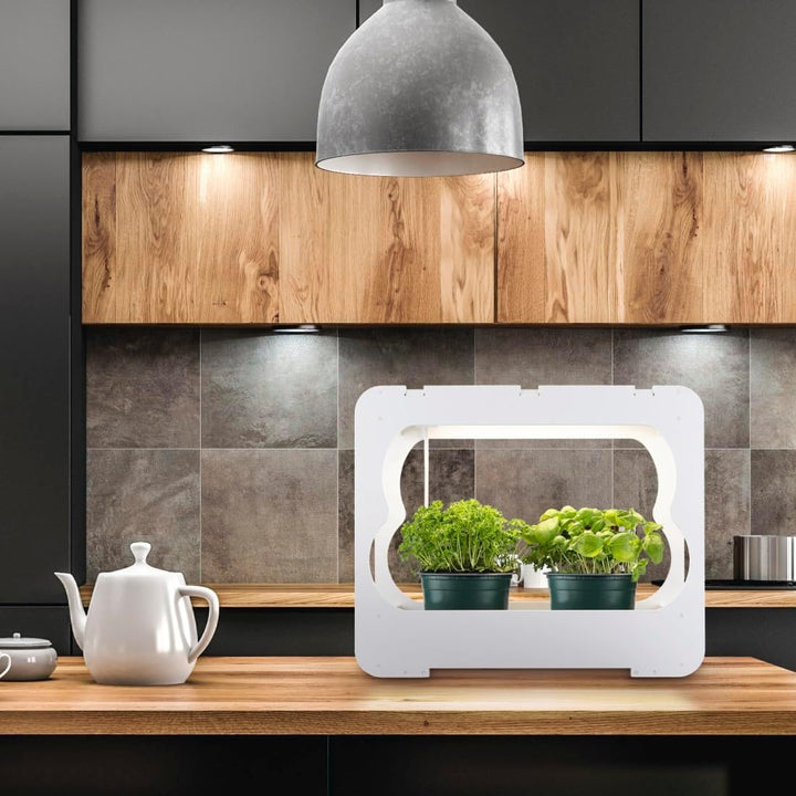 Xavax LED Smart Garden Home Gewächshaus Box klein mit Lampe für Balkon, als Anzuchtkasten für Hochbe