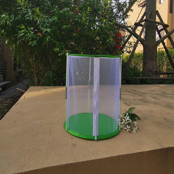 CHICIRIS Butterfly Habitat, Transparenter Monarch-Schmetterlings-Insektenkäfig, Zusammenklappbares Z