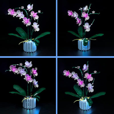 Led Licht Set für Lego Orchidee, Led Beleuchtungs Set für Lego 10311 Orchidee Botanical Collection S