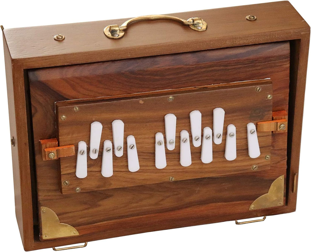 Shruti Box Raga, professionelles Modell, aus Teak-Holz, C-Tonleiter (c3 bis c4), 30 x 22 x 8,5 cm, G