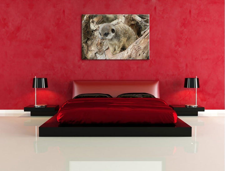 Pixxprint junges Erdmännchen auf Baum auf Leinwand, XXL riesige Bilder fertig gerahmt mit Keilrahmen
