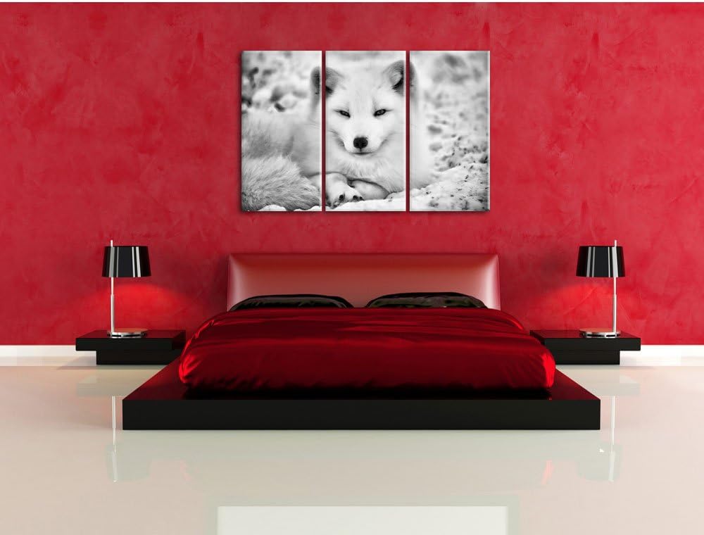 Pixxprint Weisser Fuchs als Leinwandbild/Grösse: 3 Teilig (120x80) cm/Wandbild/Kunstdruck/fertig bes