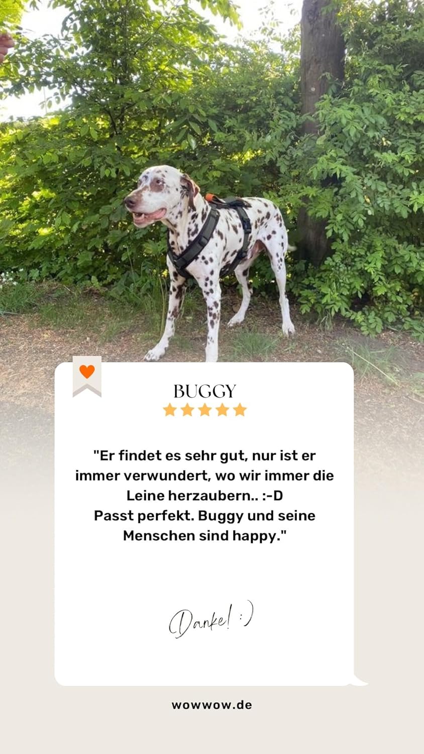 Wowwow Innovatives Hundegeschirr mit Integrierter Leine | Grössenverstellbar, bis 150kg Zugkraft | N
