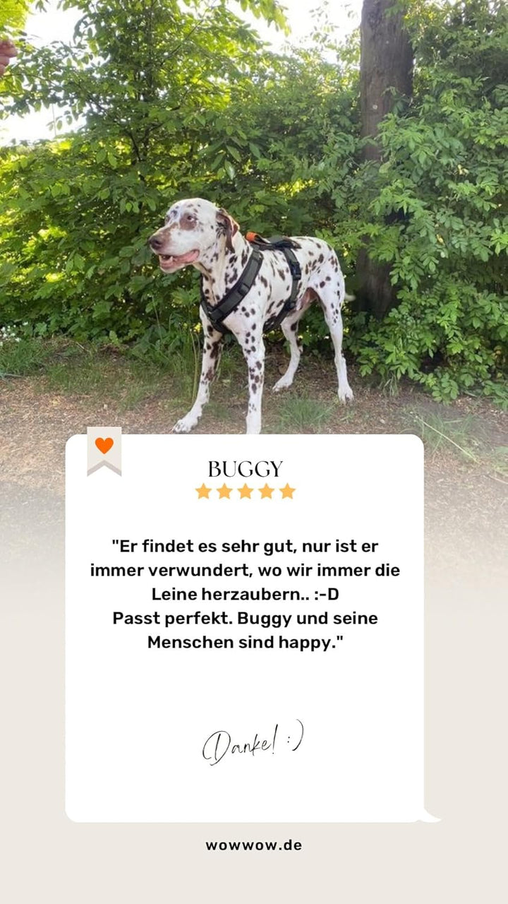 Wowwow Innovatives Hundegeschirr mit Integrierter Leine | Grössenverstellbar, bis 150kg Zugkraft | N