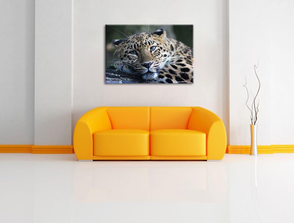 Pixxprint ruhender Leopard auf Leinwand, XXL riesige Bilder fertig gerahmt mit Keilrahmen, Kunstdruc
