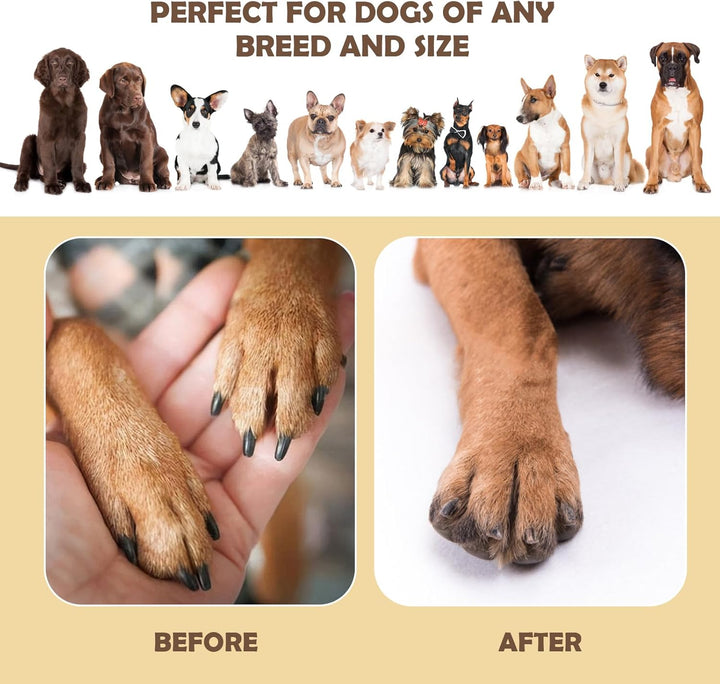 Krallenschleifer für Hunde – 360° Drehbares Kratzbrett mit Leckerlibox, Stressfreies Nagelfeilenbret