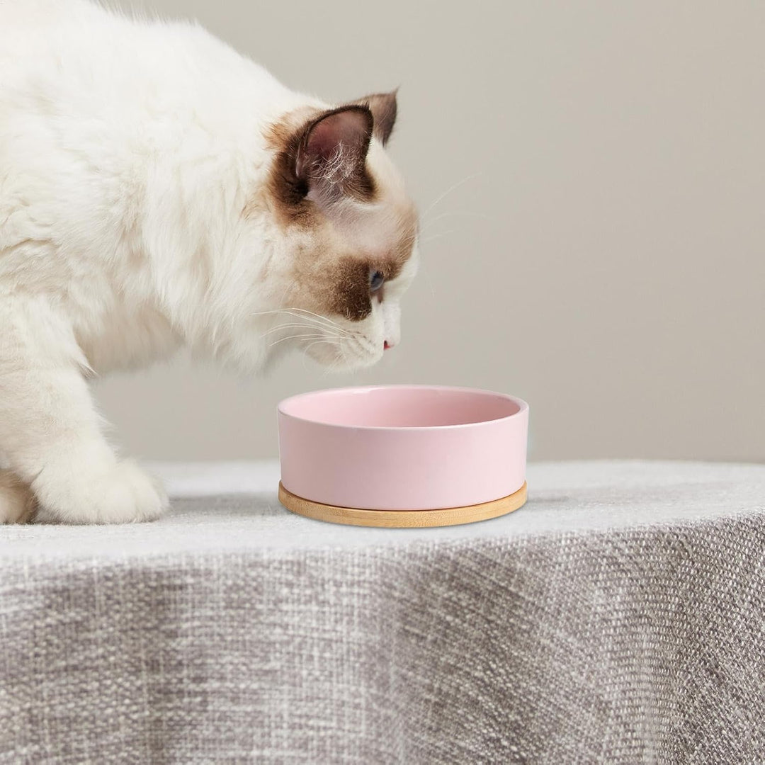 Pink Beheizter Wassernapf Für Hunde USB-beheizter Futternapf Thermostatisch Beheizter Trinknapf Ther