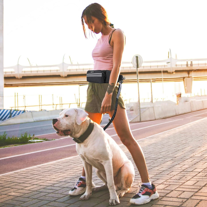 Leckerlitasche für Hunde, Bauchtasche für Hunde Zubehör-Leckerlibeutel mit Kotbeutelspender, reflekt