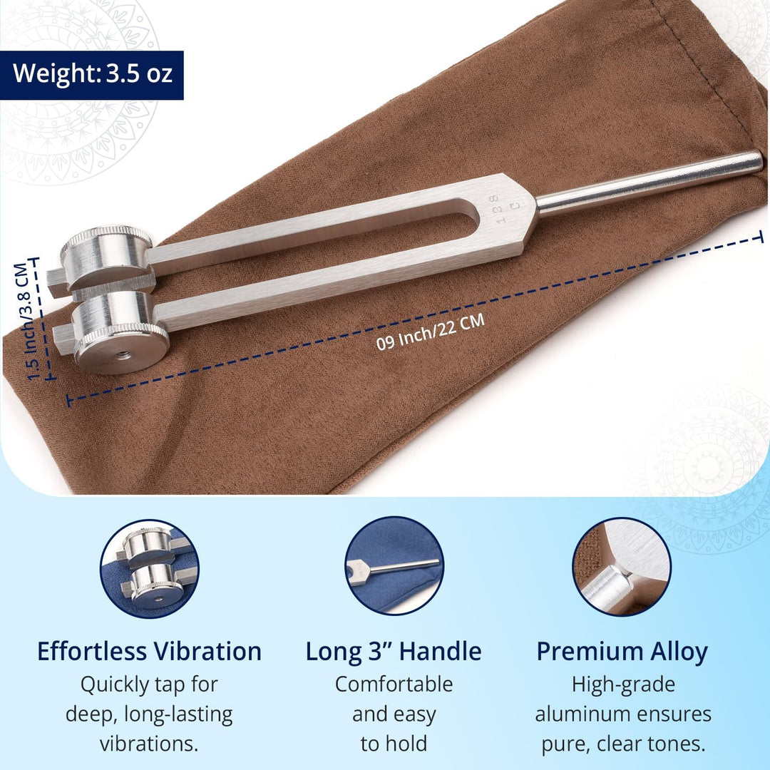 Otto 128 Stimmgabel mit Tasche, XYZ