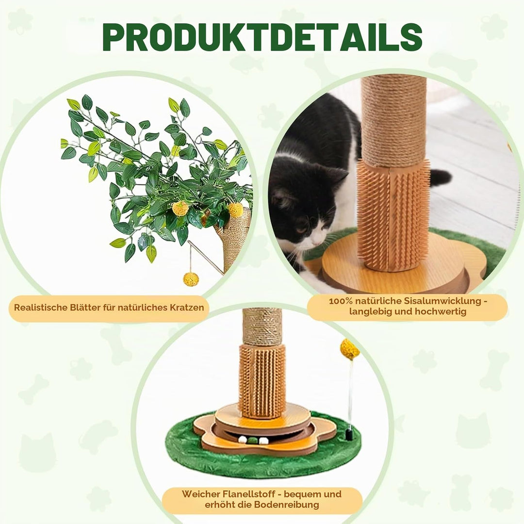 Katzenkratzbaum Kratzbaum Cat Scratching Post 85 cm mit Interaktiven Bällen und Sisalseil für Kleine