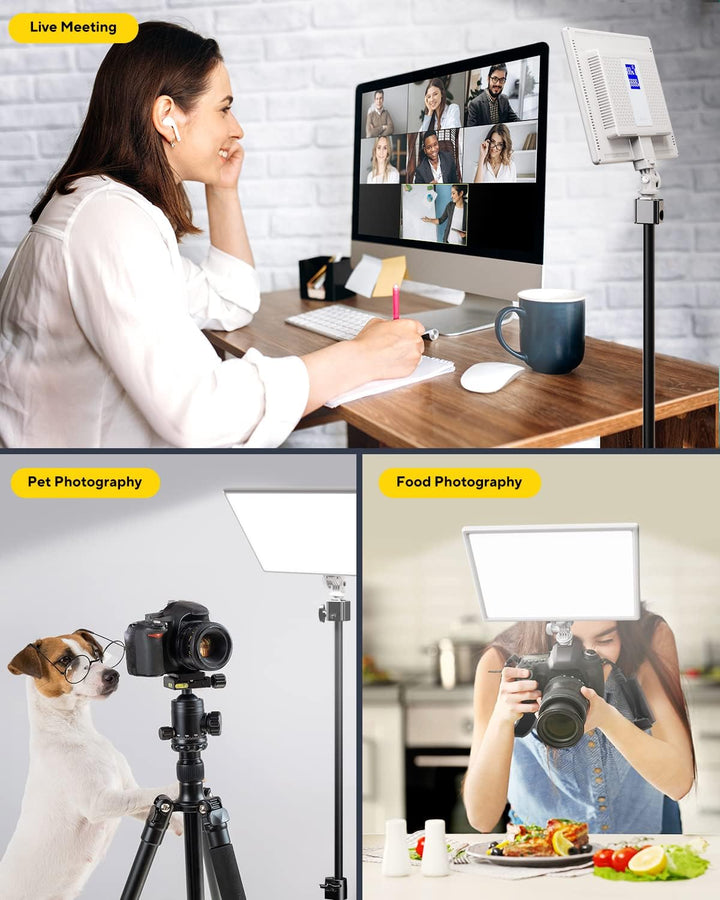 RALENO LED Videoleuchte, eingebauter 4000 mAh * 2 Akku 3200-5600 K CRI95 0-100% Helligkeitseinstellu