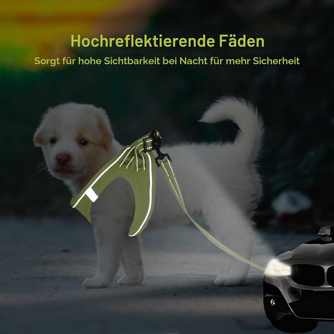 BELLA &amp; PAL Hundegeschirr Kleine Hunde mit Leine, Step-in Geschirr aus Air Mesh, Anti Zug Reflektier