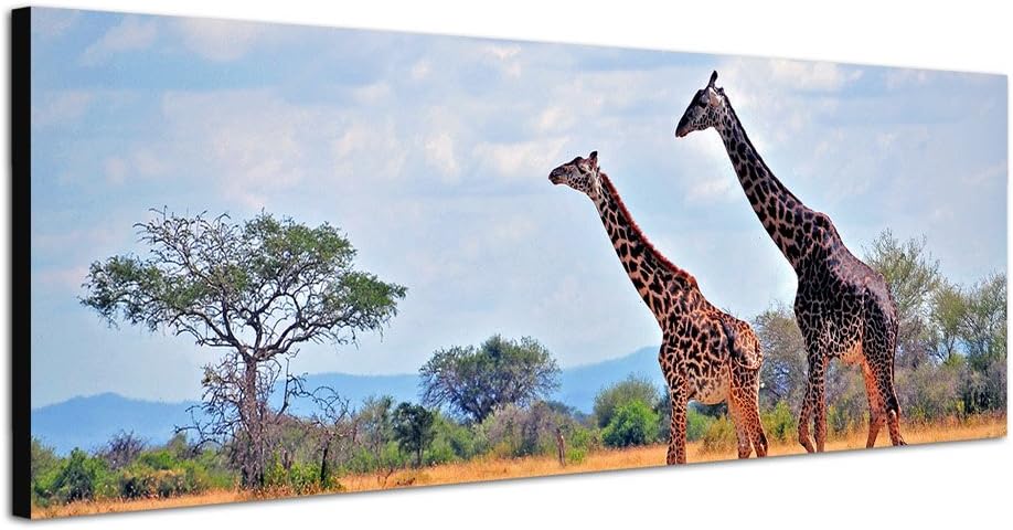 Paul Sinus Art Panoramabild auf Leinwand und Keilrahmen 150x50cm Afrika Elefant Grossaufnahme