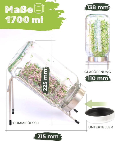 biosprosser Sprossenglas Set 1700ml mit Geschenkset - Bio Fitness-Mix & Power-Mix & Detox-Mix je 75g