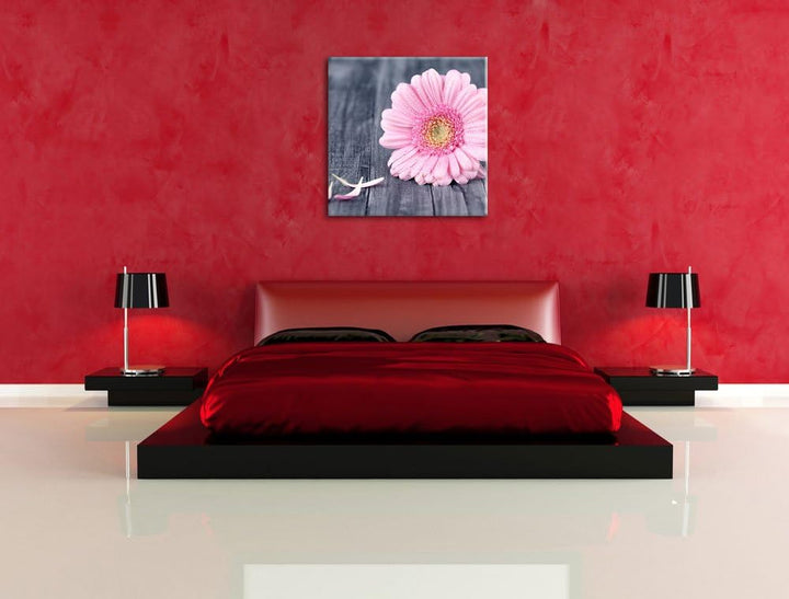 Pixxprint Pinke Gerbera auf rustikalem Boden, Format: 70x70 auf Leinwand, 70x70