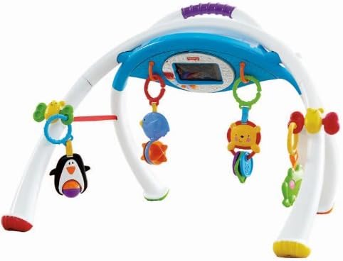 Fisher-Price Mattel Y4476 Apptivity Gym
