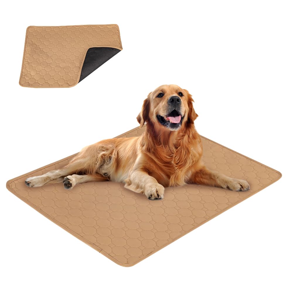 Trainingsunterlagen Welpen,Waschbar Haustier-Urinunterlage,Schnell Absorbierend Hunde Matte,Wiederve