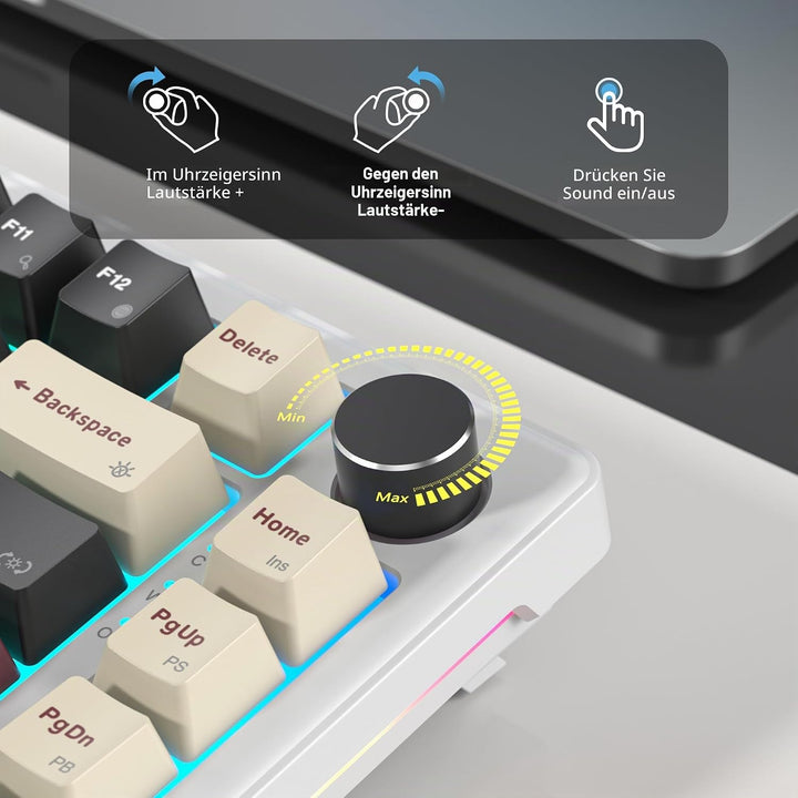 SOLIDEE Verkabelte Mechanische Gaming Tastatur 75 Prozent, Hot-Swap-Fähig Mit Gasket Struktur, RGB H