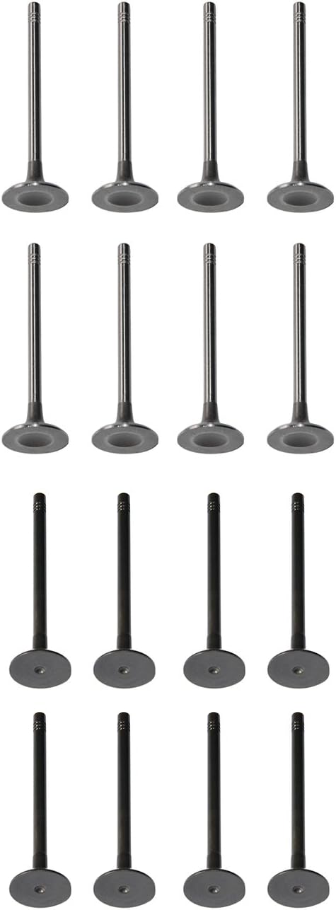 Huiruhy 8x Einlassventil + 8x Auslassventil Kompatibel mit 1.4 1.6 FSi 1.2 HTP 16V ATN BCB BTG BXW A