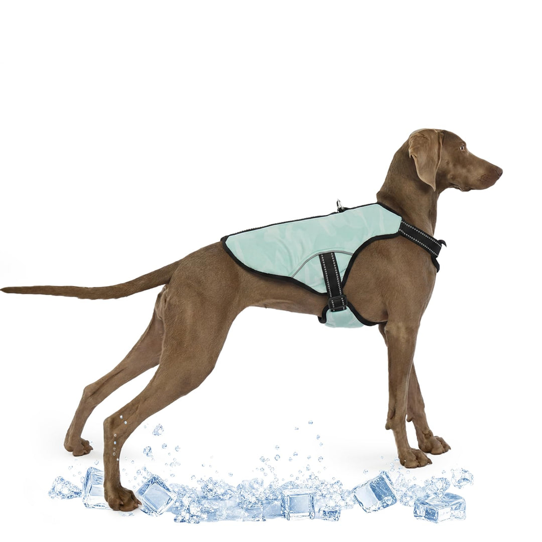 Kühlweste für Grosse Hunde, Hunde Kühlmantel Einstellbare Kühlung Hund Jacke Saugfähige & kühle Hund
