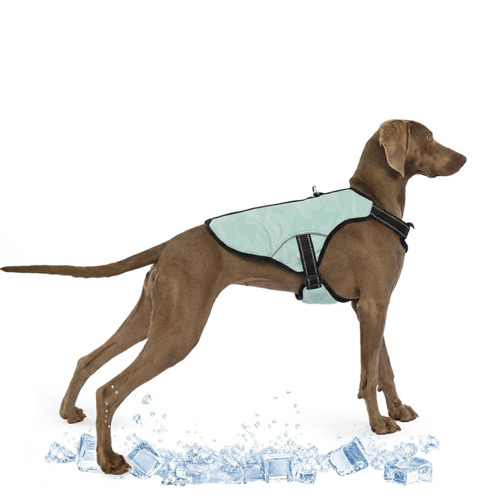 Kühlweste für Grosse Hunde, Hunde Kühlmantel Einstellbare Kühlung Hund Jacke Saugfähige & kühle Hund