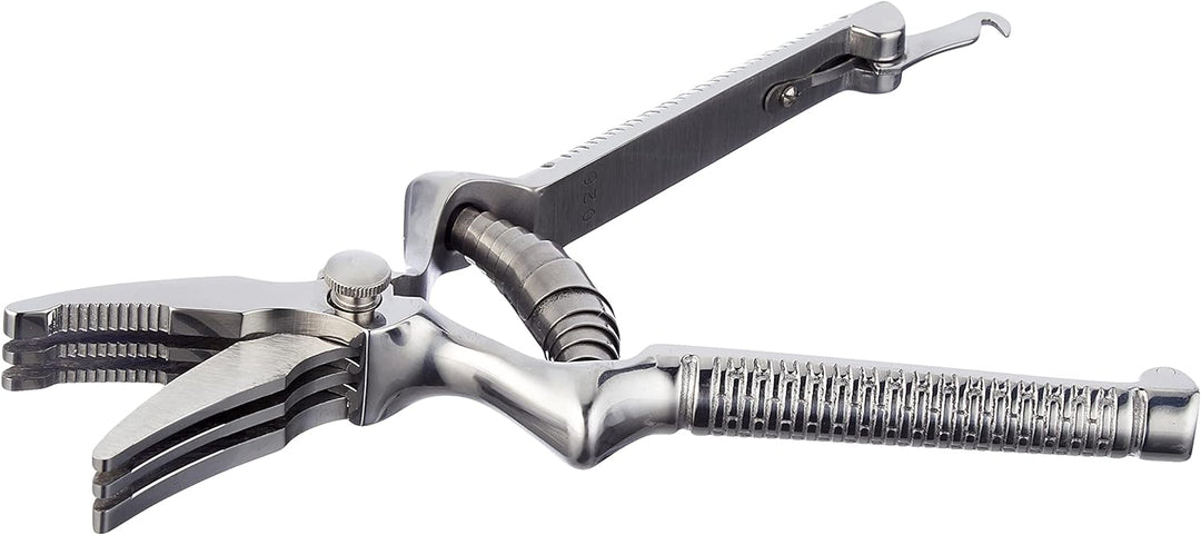 Waldmann 1669 Masticateur Nahrungszerkleinerer, Edelstahl