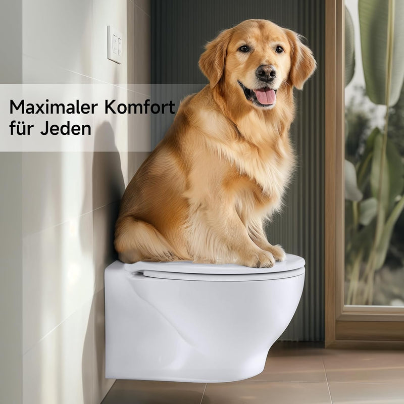 Rainsworth Nano Glaze Toilettendeckel Form O,Urea Formaldehyd Wc Sitz Mit Absenkautomatik,Ergonomisc