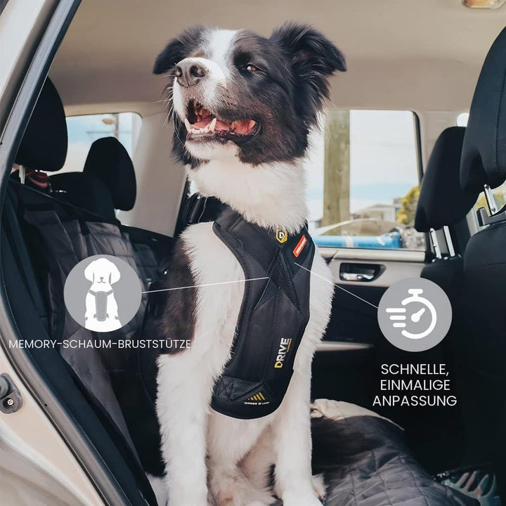 EzyDog Sicherheitsgeschirr Hund - Drive Crash-Getestet Hundegeschirr - Bestes Hundegeschirr fürs Aut