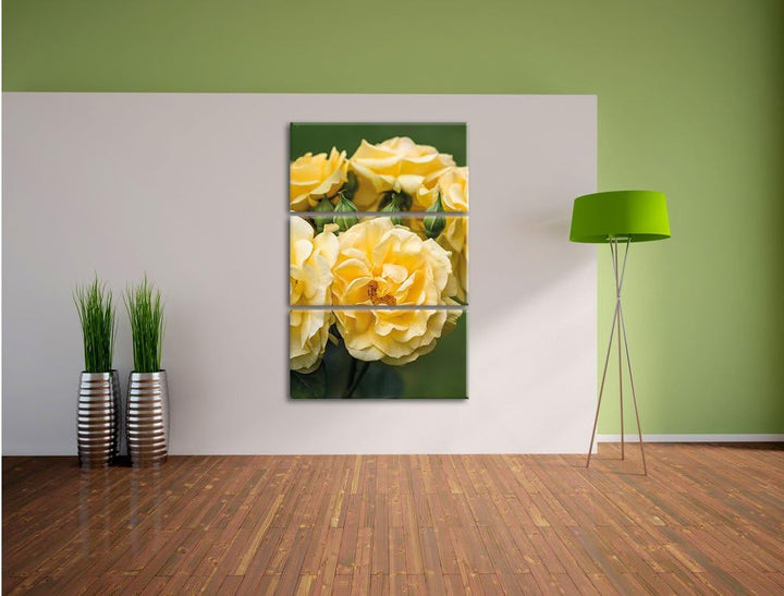 Pixxprint Pfingstrosen als Leinwandbild/Grösse: 3 Teilig (120x80) cm/Wandbild/Kunstdruck/fertig besp