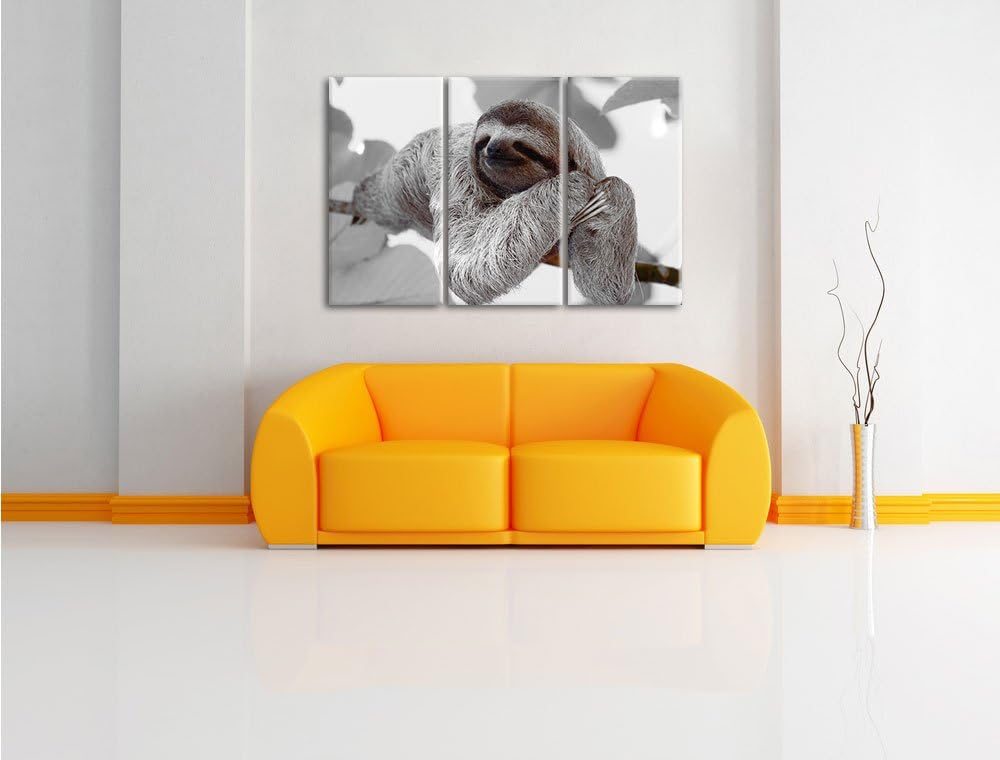 Pixxprint schönes Faultier hängt von AST als Leinwandbild/Grösse: 3 Teilig (120x80) / Wandbild/Kunst