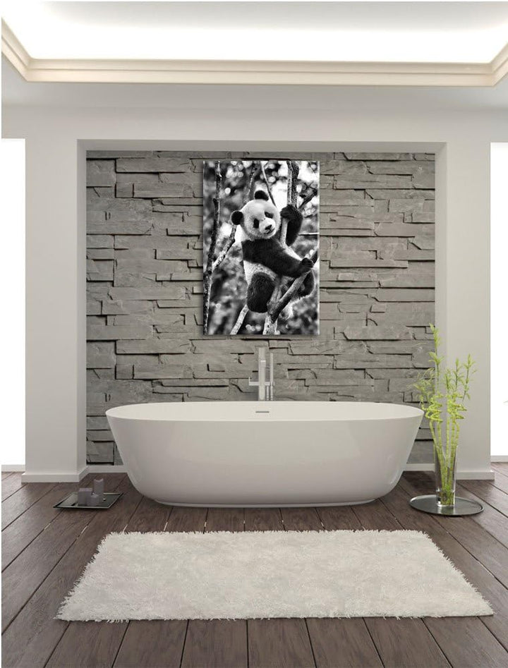 Pixxprint niedlicher Pandabär auf Baum als Leinwandbild/Grösse: 100x70 cm/Wandbild/Kunstdruck/fertig