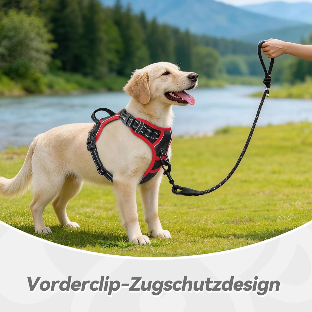 PHOEPET Verstellbares Sicherheitsgeschirr für mittlere und grosse Hunde mit gepolstertem Griff und r