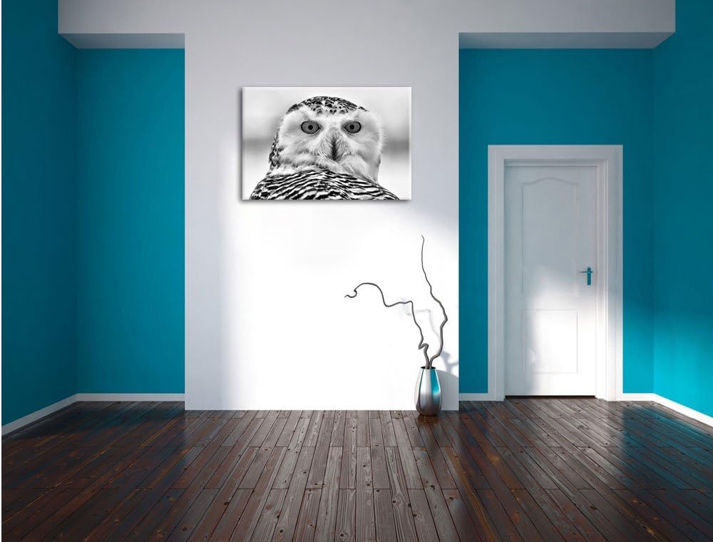 Monocrome, Schnee-Eule , Format: 100x70 auf Leinwand, XXL riesige Bilder fertig gerahmt mit Keilrahm