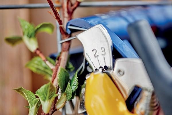 Rapid Bindezange GP238 zum Sichern junger Pflanzen ohne den Stiel zu drücken oder zu schädigen Gp238