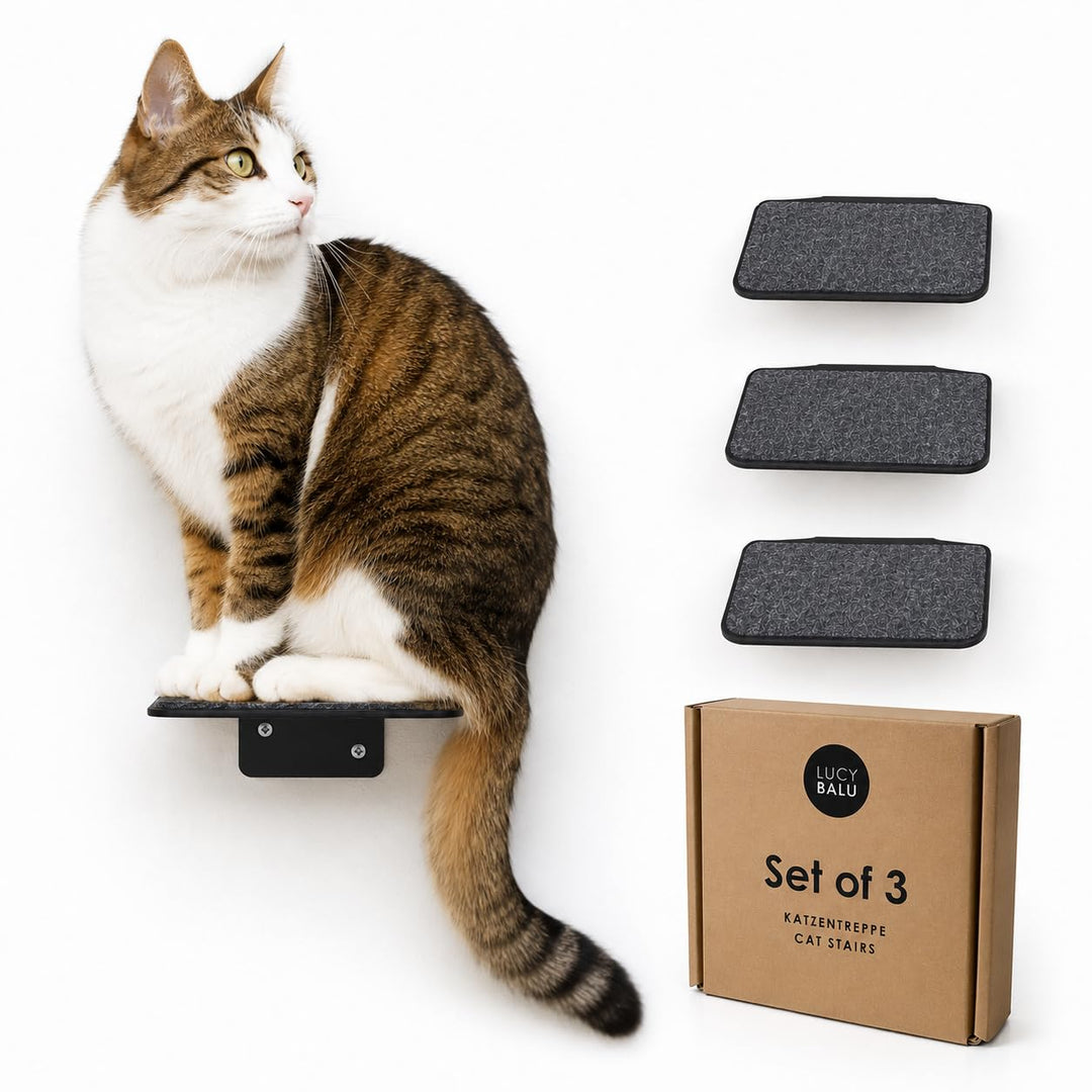 LucyBalu® STEPS XL Katzentreppe Wand Innen Aussen 3er Set | Katzen Kletterwand | Wandpark für Katzen