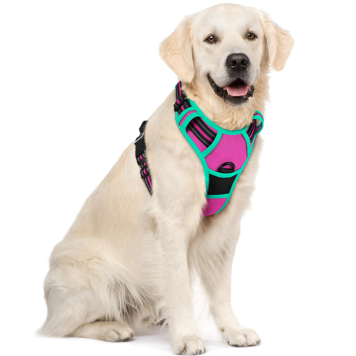 rabbitgoo Hundegeschirr Mittelgrosse Hunde, Anti Zug Geschirr mit Kontrolle, No Pull Verstellbar Hun