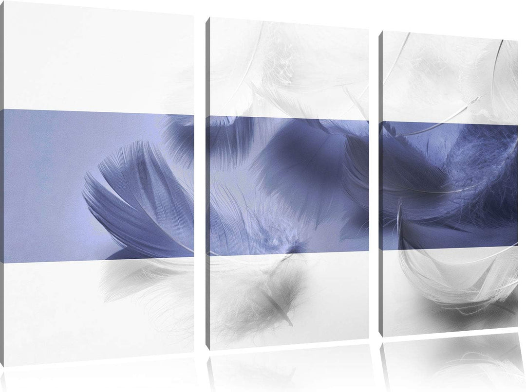 Weisse Federn schwarz/weiss 3-Teiler Leinwandbild 120x80 Bild auf Leinwand, XXL riesige Bilder ferti