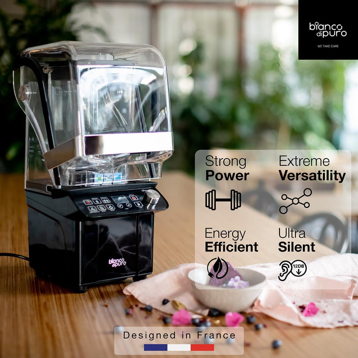Hochleistungsmixer Gusto PRO mit bürstenlosem DC-Motor 1.000 Watt Leisung 4,27 PS Smoothie Maker Eis